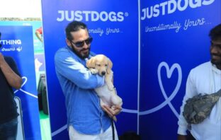 Dino Morea at Pet Fed Mumbai